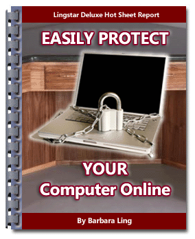 Protect Your Computer Online