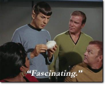 Fascination
